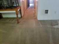 Portland NW Carpet Cleaning image 6